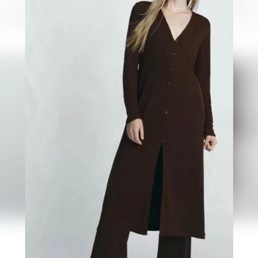 Zara Long Sleeve Button-Front Maxi Dress in Dark Brown